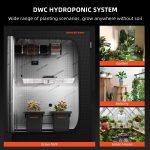 Système hydroponique DWC 2 sceaux de 7 gallons (≃ 26L) Spider Farmer avec kit goutte à goutte supérieur pour Culture en eau profonde