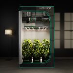 Kit Extracteur d'air / Filtre (Ø150mm) Contrôleur Thermostatique Mars Hydro