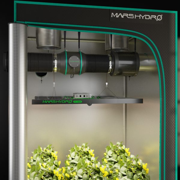 Extracteur d'air Contrôleur Thermostatique Mars Hydro