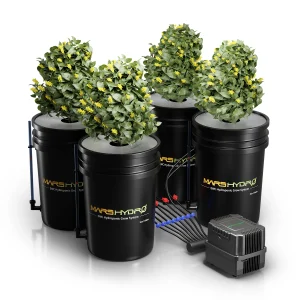 Kit Complet DWC 4 sceaux 5gallons (±19L) Mars Hydro