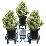 Pack de 3 Plateaux de drainage - Auto-Drainage System - Pompe à eau - Sacs de culture - Pour tentes de culture, jardin, 3 plantes - Mars Hydro