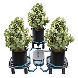Pack de 3 Plateaux de drainage - Auto-Drainage System - Pompe à eau - Sacs de culture - Pour tentes de culture, jardin, 3 plantes - Mars Hydro