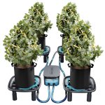 Pack de 4 Plateaux de drainage - Auto-Drainage System - Pompe à eau - Sacs de culture - Pour tentes de culture, jardin, 4 plantes - Mars Hydro