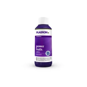 Power Buds 100ml - Stimulateurs de floraison - Plagron