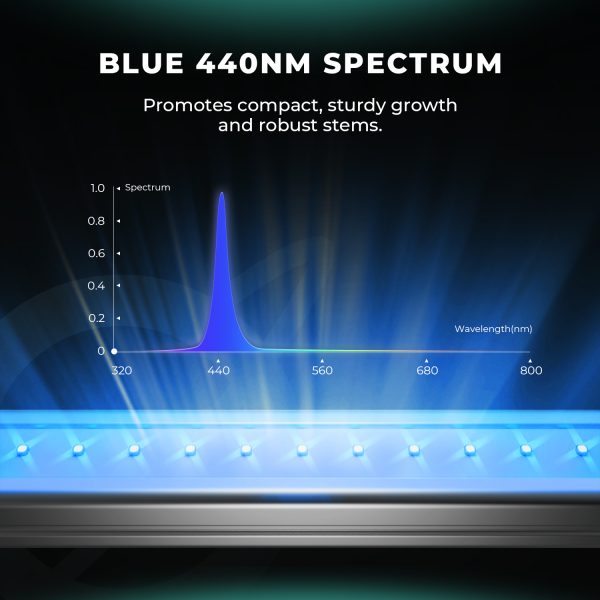 AD Lite R55 B55 - Mars Hydro