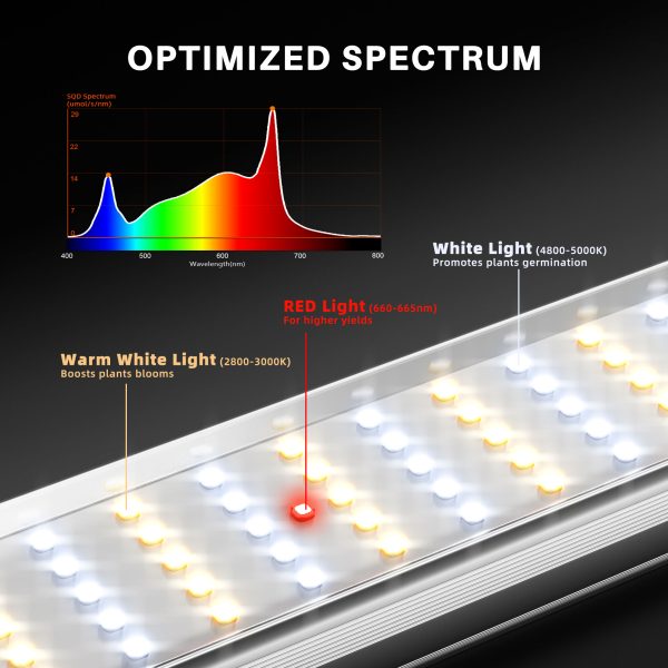 SE1000W Lampe de Culture LED BridgeLux3030 spectre complet Spider Farmer