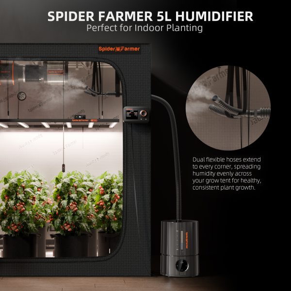 Humidificateur intelligent à vapeur froide de 5L Spider Farmer