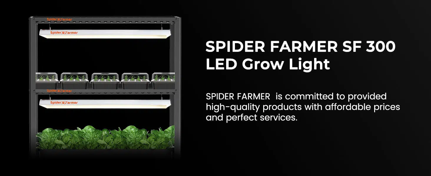 SF300 - Spider Farmer
