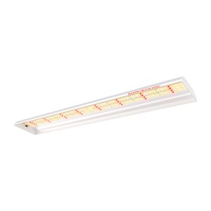 SF600 74W Lampe de culture LED Spectre Complet Spider Farmer - Idéal pour germination et bouturage