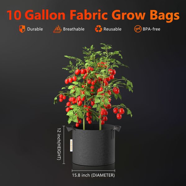 Lot de 5 sacs de culture en tissu de 40L – pots de plantes respirants et réutilisables Spider Farmer