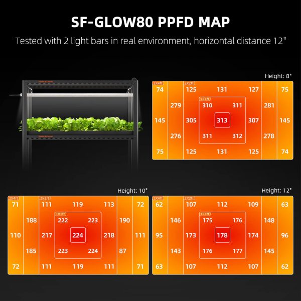 Glow80 - Spider Farmer