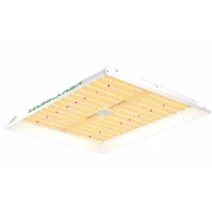 TS 1000 – Lampe de Culture LED 150W à Spectre Complet Dimmable Mars Hydro – pour 1-3 Plantes