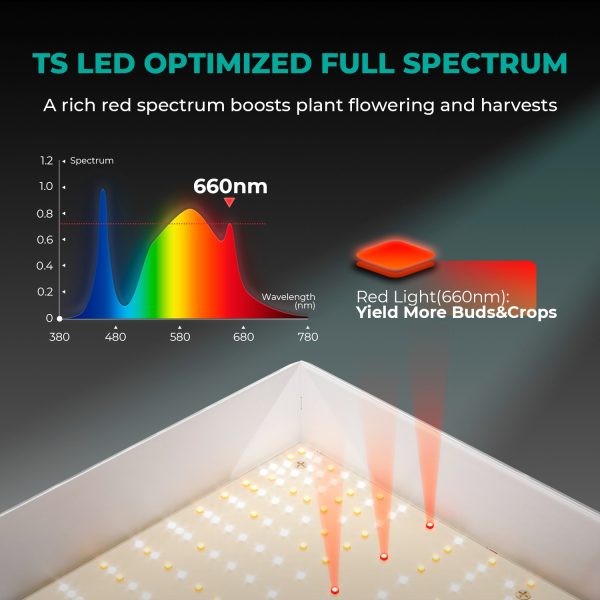 TS1000 - Mars Hydro