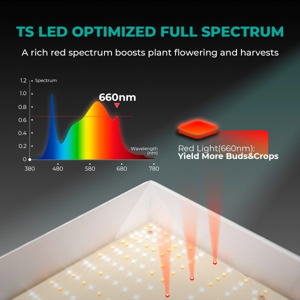 TSL2000 - Mars Hydro