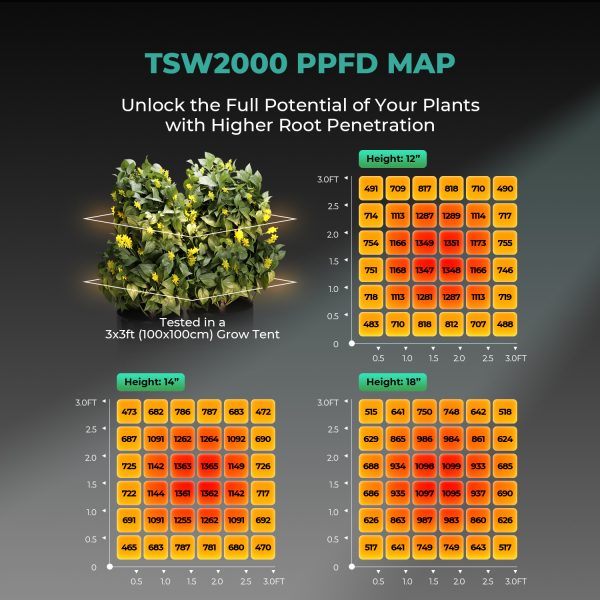 TSW2000 - Mars Hydro