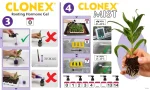 UTILISATION-CLONEX-2