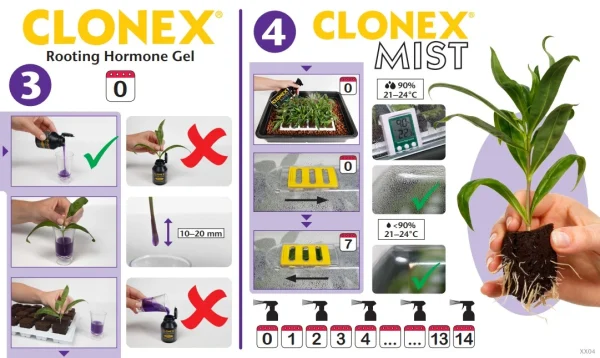 UTILISATION-CLONEX-2