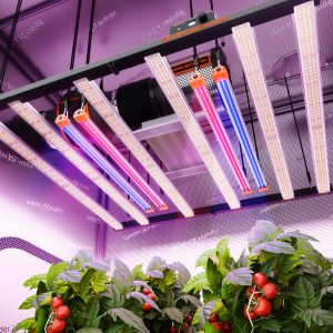 Barres LED UV30 et IR16 (60 cm) – Supplément UV et infrarouge Spider Farmer