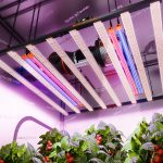 Barres LED UV60 et IR30 (90 cm) – Supplément UV et infrarouge Spider Farmer