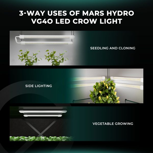 VG40 - Mars Hydro