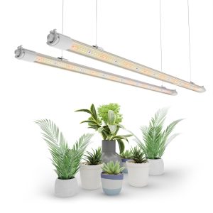 VG80 – LED T5 Lumières de Croissance 80W Mars Hydro – Imperméable – pour Plantes d’Intérieur