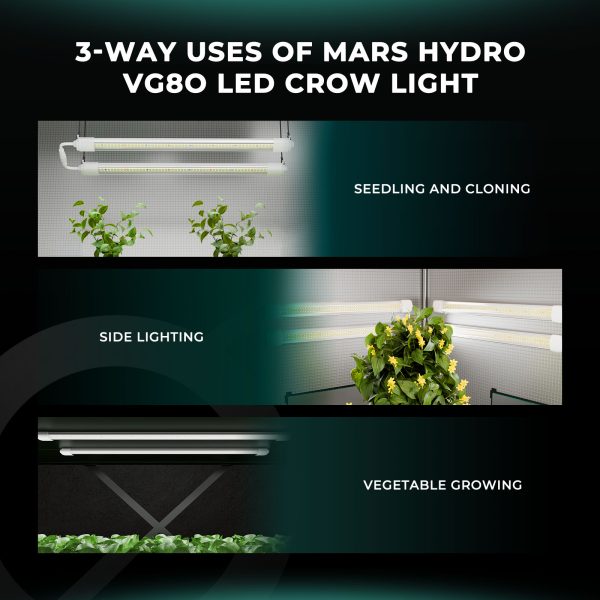 VG80 - Mars Hydro