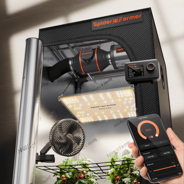 Kit Complet Spider Farmer SF1000 100W - Tente de Culture 70x70x160cm - LED Samsung 301H EVO Spectre complet - ventilateur ∅15cm - kit ventilation ∅100mm GGS Controller SERIES