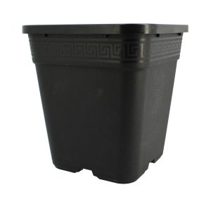 Pot carré noir 6L - 19 x 19 x 21cm - Pasquini & Bini