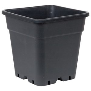 Pot carré noir 30L - 36.5 x 36.5 x 37cm - Pasquini & Bini