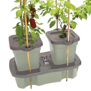Jardinière Duogrow - Arrosage automatique - Garland Products