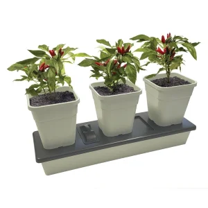 Jardinière Triogrow - Arrosage automatique - Garland Products