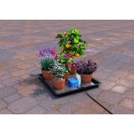 Kit Aqua Valve Easy2GO - AUTOPOT-5