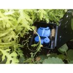 AQUABOX STRAIGHT AUTOPOT