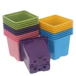 Pots carrés 8cm - Lot de 20 - 5 couleurs - Romberg