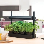 Mini potager urbain LED - Spectre complet 8W - Noir - Garland Products
