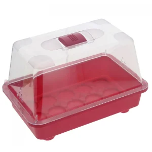 Mini serre non chauffante - Colors - 29x19x19cm - Romberg