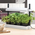 Mini urbain LED - Spectre complet 8W - Blanc - Garland Products