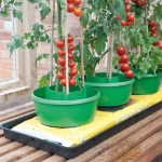 Plant Halos verts - Lot de 3 pots - Garland Products