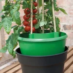 Plant Halos verts - Lot de 3 pots - Garland Products