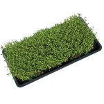 Plateau Micro Greens - 56x28x3cm - Growing Tray - Garland Products