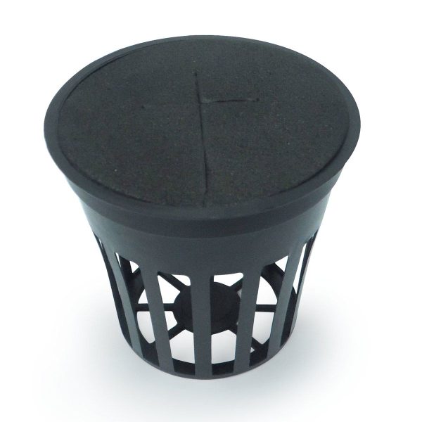 Pot panier Ø5.4cm pour systèmes aéroponiques et DWC - Nutriculture