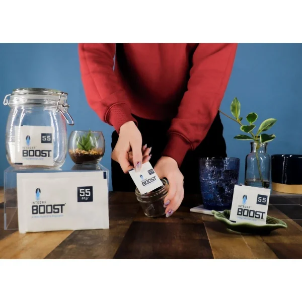 Sachet - R.H 55% - régulateur d'humidité bidirectionnel - Integra Boost