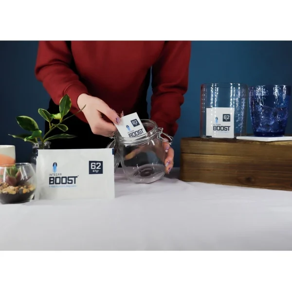 Sachet - R.H 62% - régulateur d'humidité bidirectionnel - Integra Boost