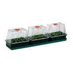 Trio de serres non chauffantes - 69x16x18.5cm - Windowsill Propagator - Garland Products