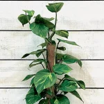Tuteur bois et coco - Ø5cm - Garland Products