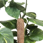 Tuteur bois et coco - Ø5cm - Garland Products