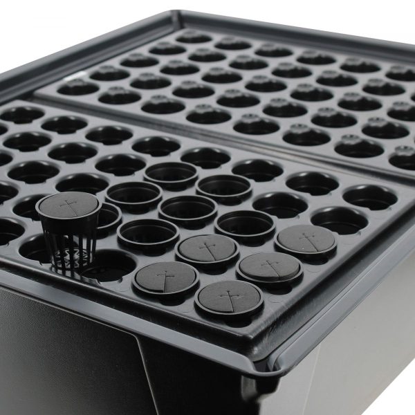 PROPAGATOR X-Stream 80 Sites Nutriculture