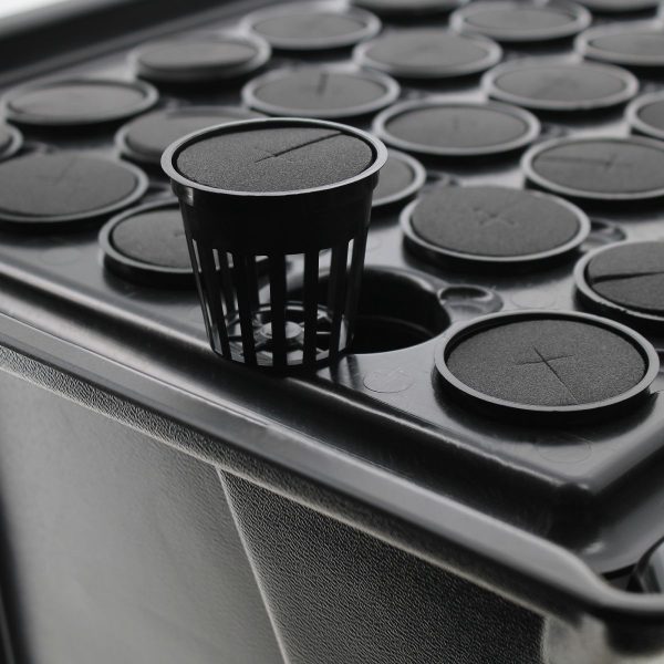 Propagateur aéroponique X-Stream 40 sites - Nutriculture®