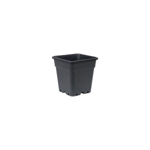 WILMA - Large - Pot noir 11L