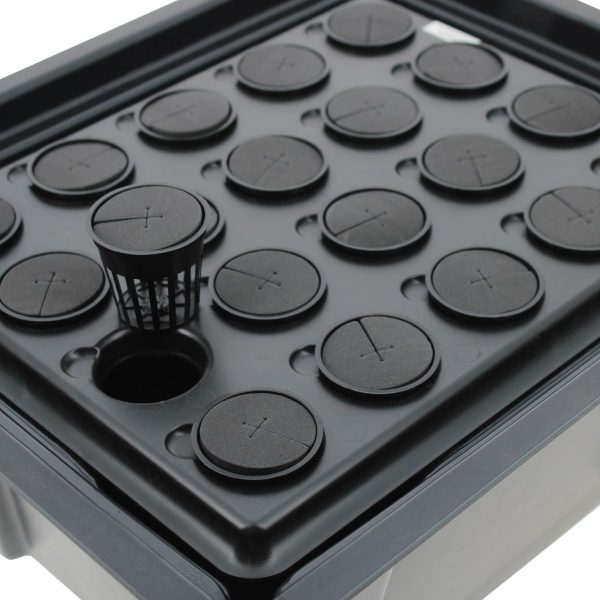 PROPAGATOR X-Stream 20 Sites